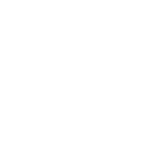 Web Icons_IT Project Management